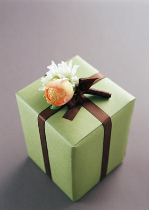 【2024年最新版】Martinギターの魅力と選び方：初心者から上級者まで完全ガイド